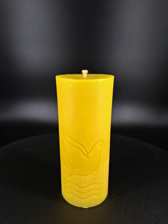 Jaunā Dzīve  – Balodis, Ūdens un Krusts (Nr:201)